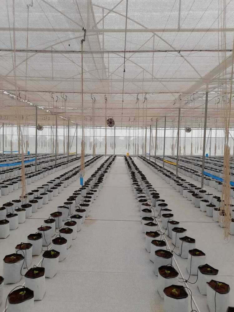 Poly House Construction