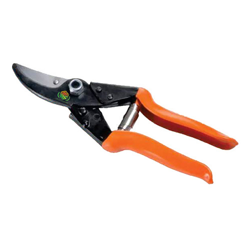 KAE SS Side Shear Secatuers