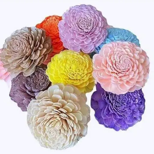 Sola Flower