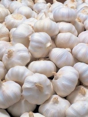Kashmari Garlic - Color: White