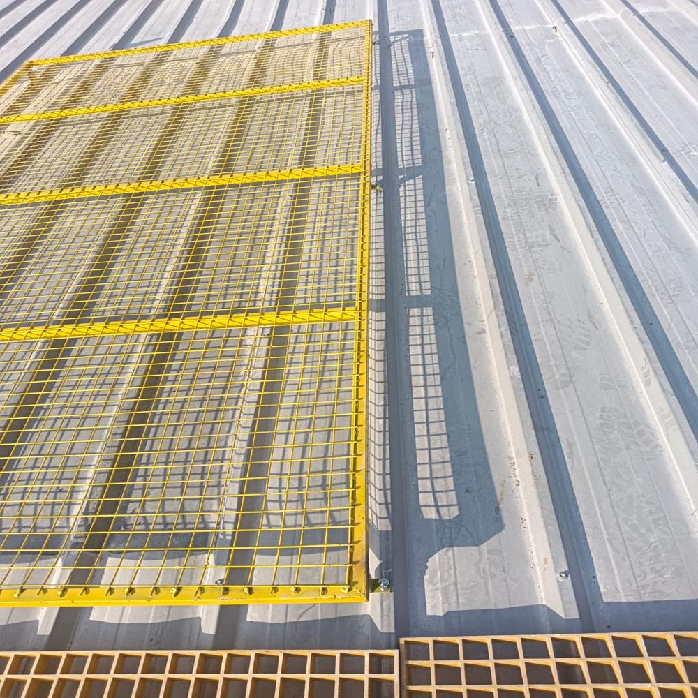 Skylight Protection Guard - Color: Silver
