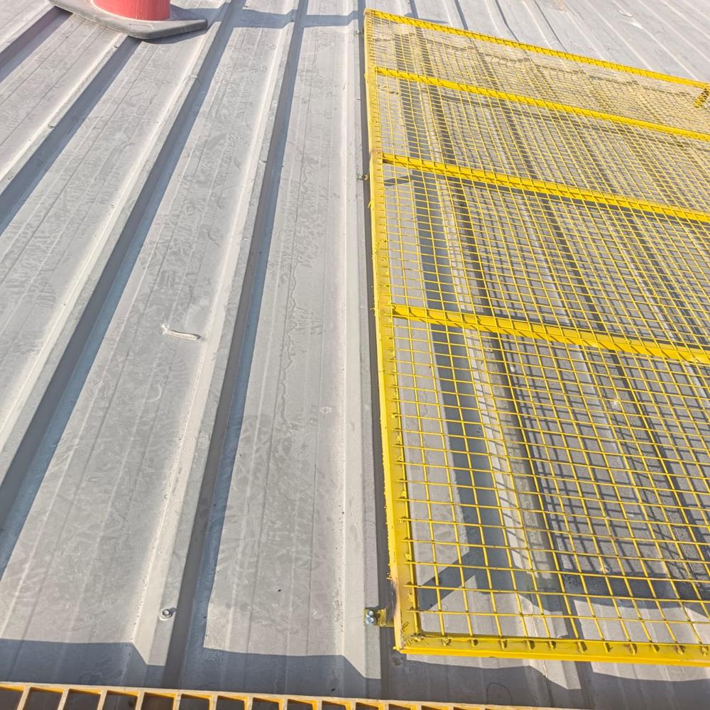 Skylight Protection Guard