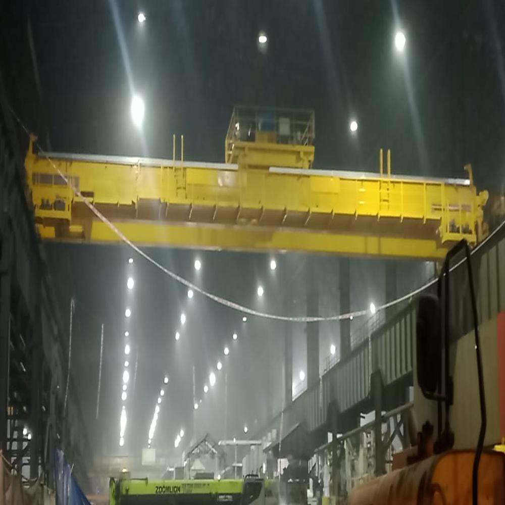 Heavy Duty EOT Cranes