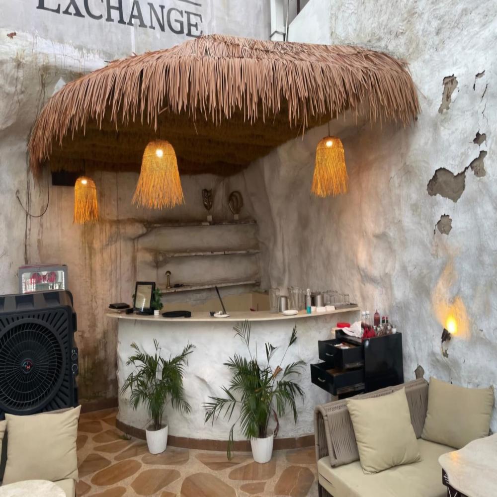 BOHO Thatch Grass Roof