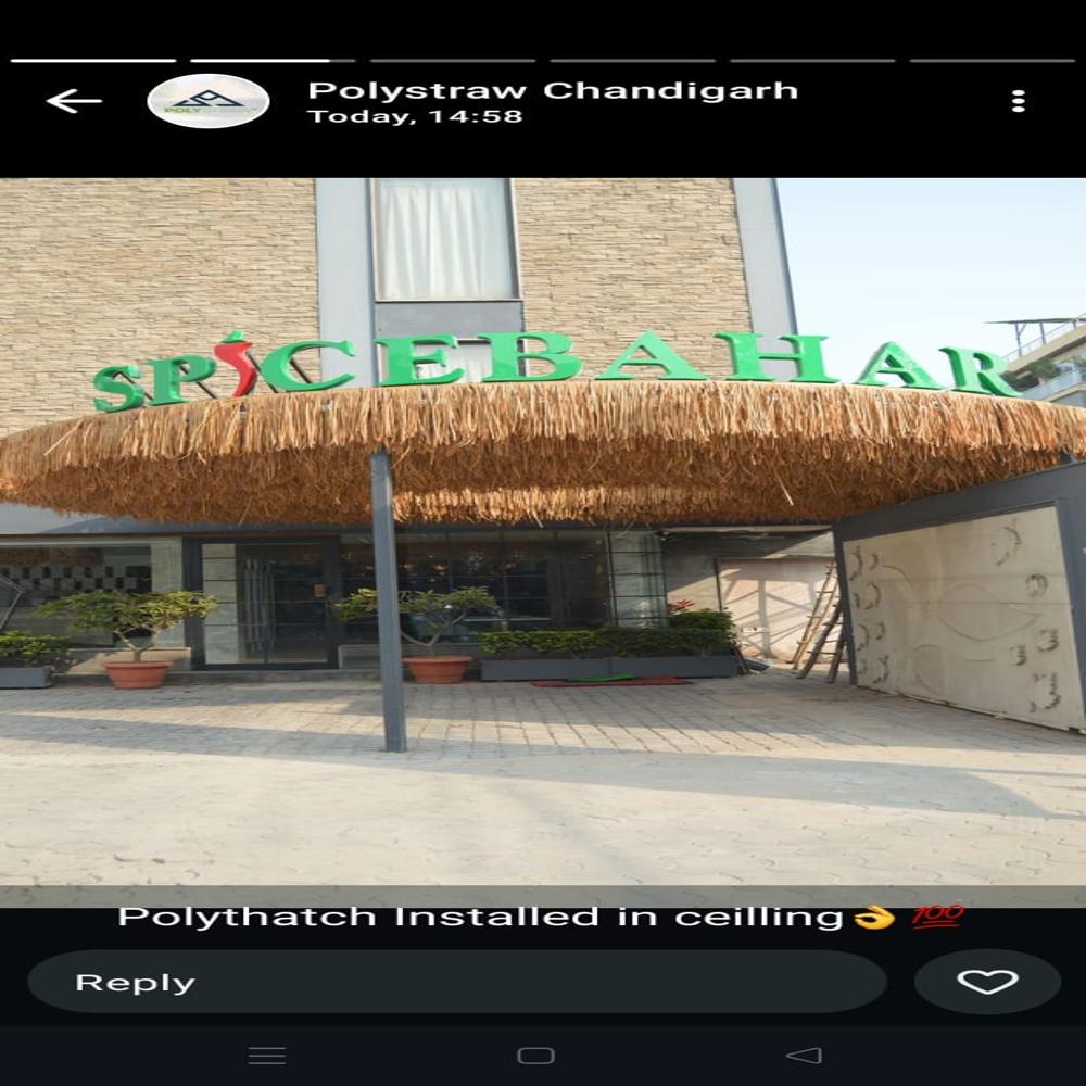 BOHO Thatch Grass Roof