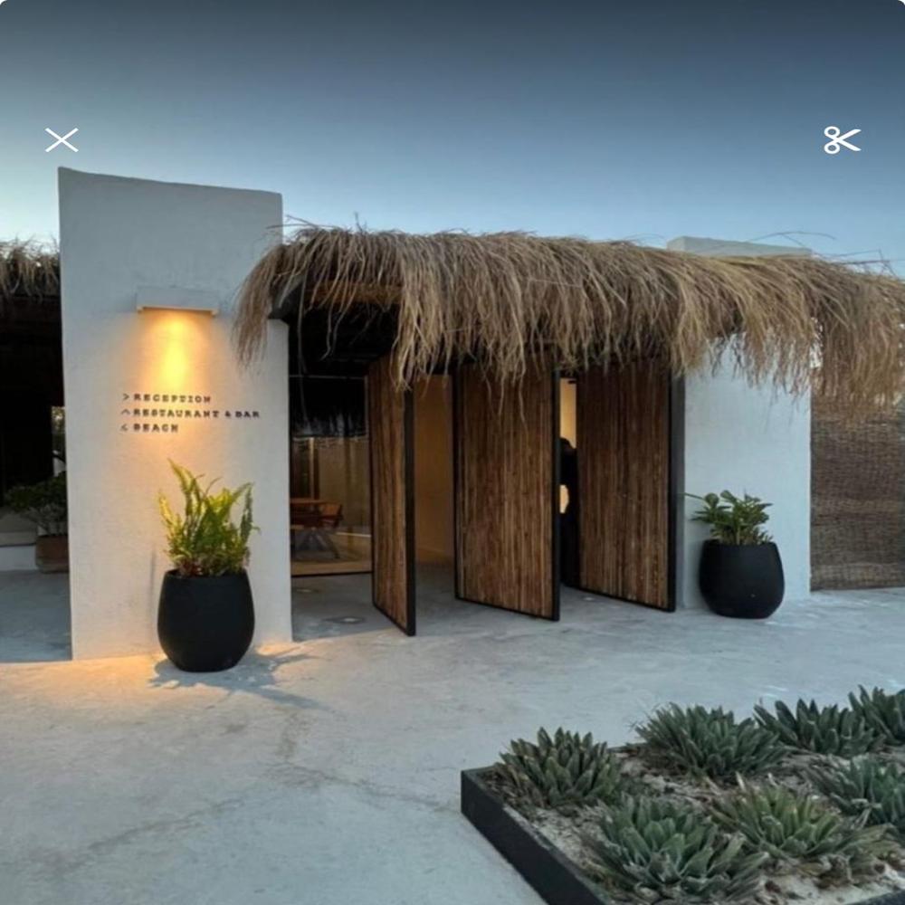 BOHO Thatch Grass Roof