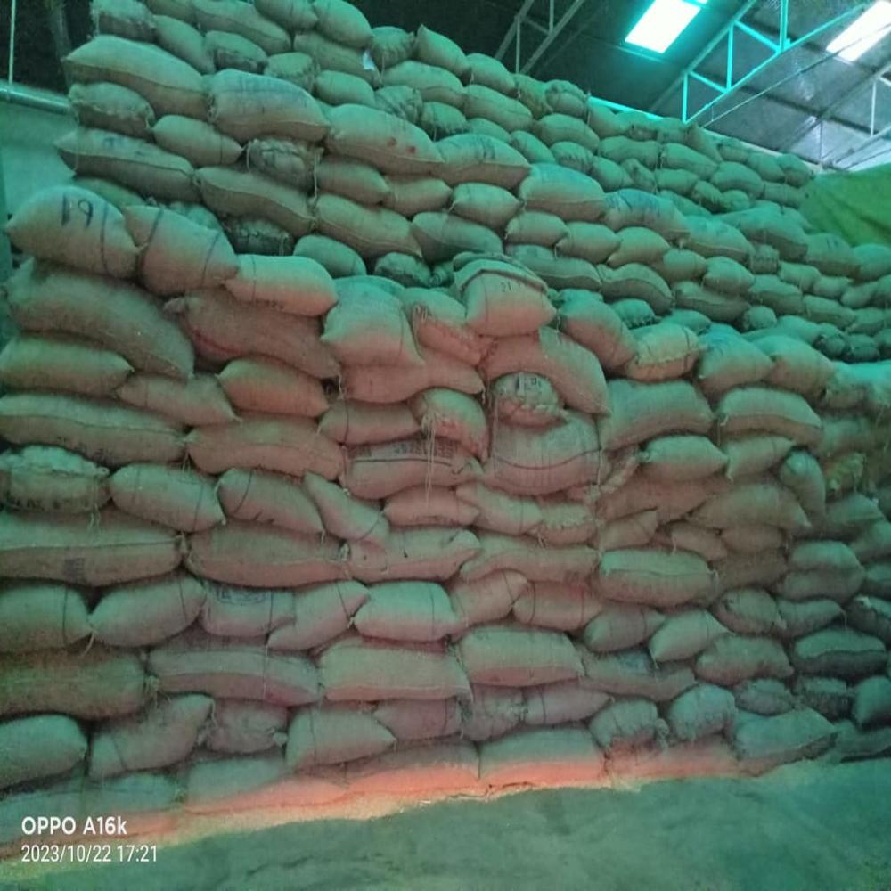 Commodity Fumigtaion