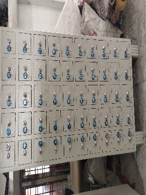 Mobile locker with locks