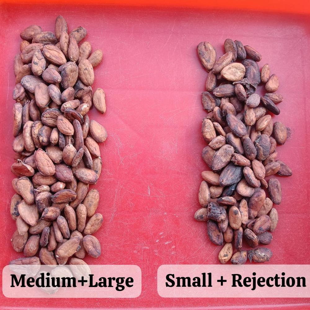 Badam Sorting Machine