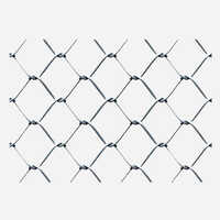 Pvc Coated Chain Link