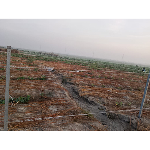 Razor Blade Barbed Fencing Wire