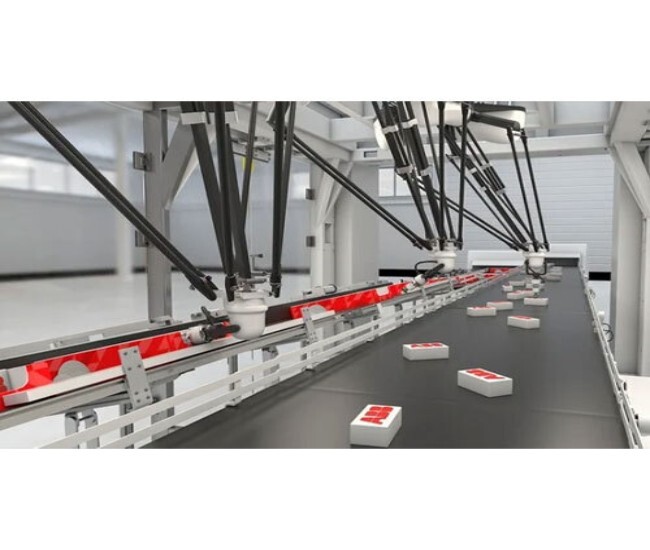 Case Packer Solution