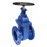 Ci Sluice Valve - Application: Water Supply