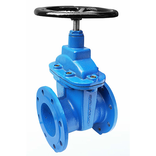 DI Soft Seated Valve 100mm