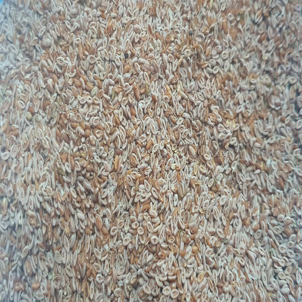 Organic Psyllium Seeds