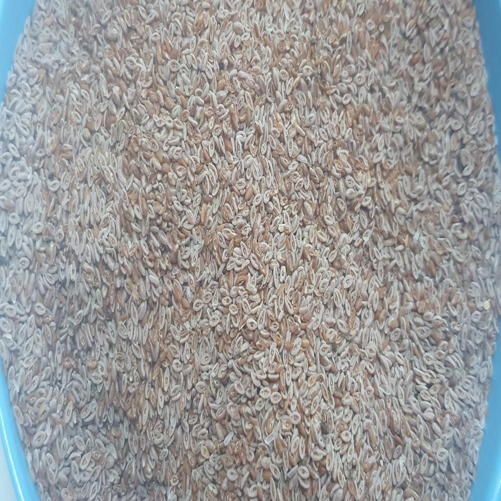 Organic Psyllium Seeds