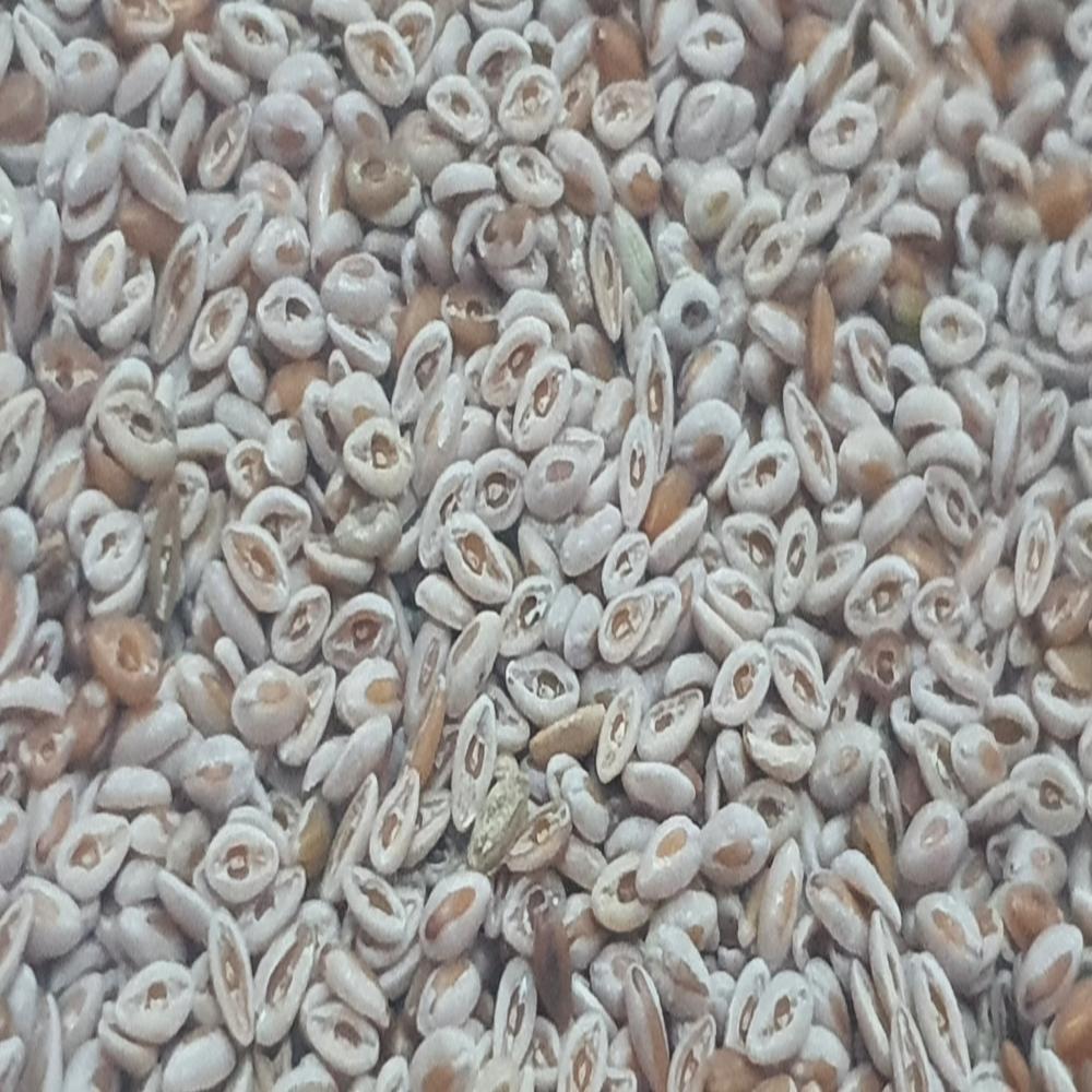 Organic Psyllium Seeds