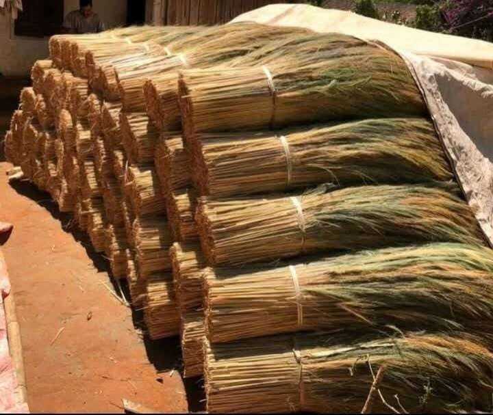 Coconut Broom For Cleaning