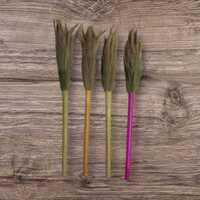 Grass Household Floor Broom
