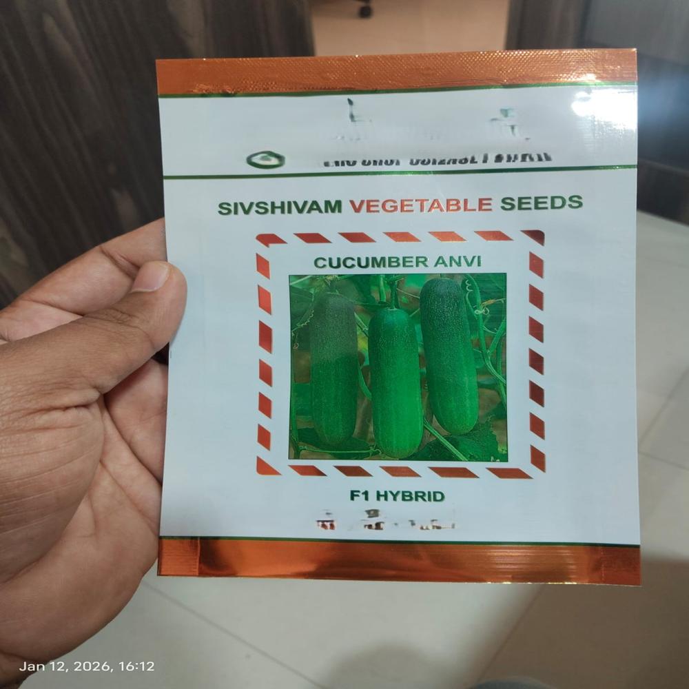 Vegetables Seeds Packaging Pouch - Color: Multicolor
