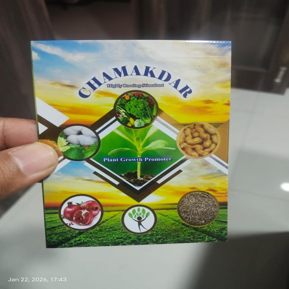 Printed Packaging Pouch