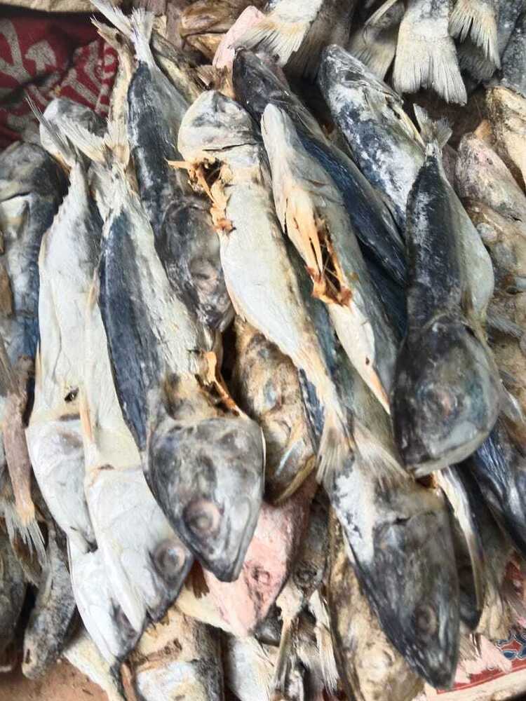 Dry Croaker Fish