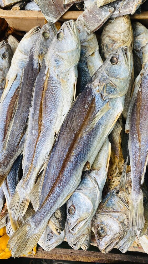 Dry Croaker Fish - Grade: Food Grade