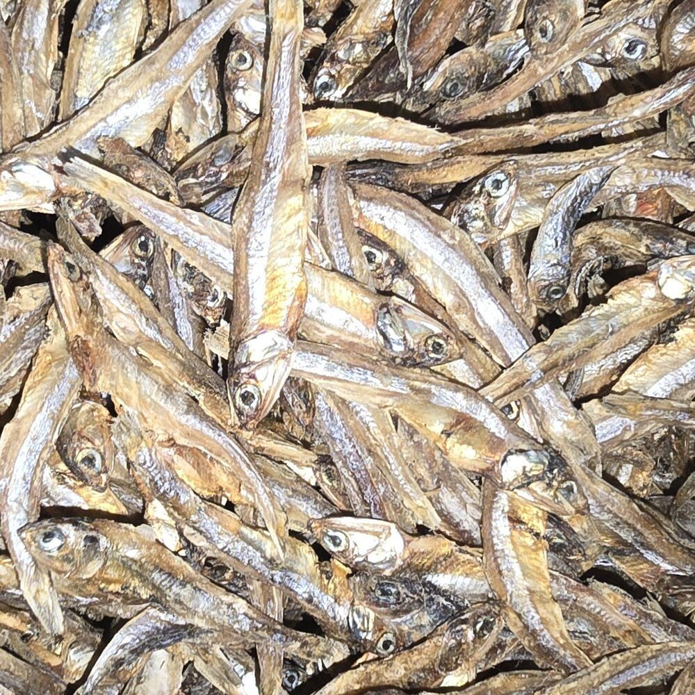 Dry Anchovies Fish