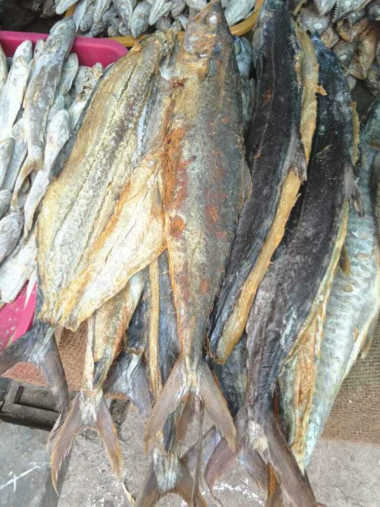 Dry King Fish