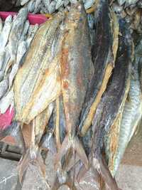 Dry King Fish