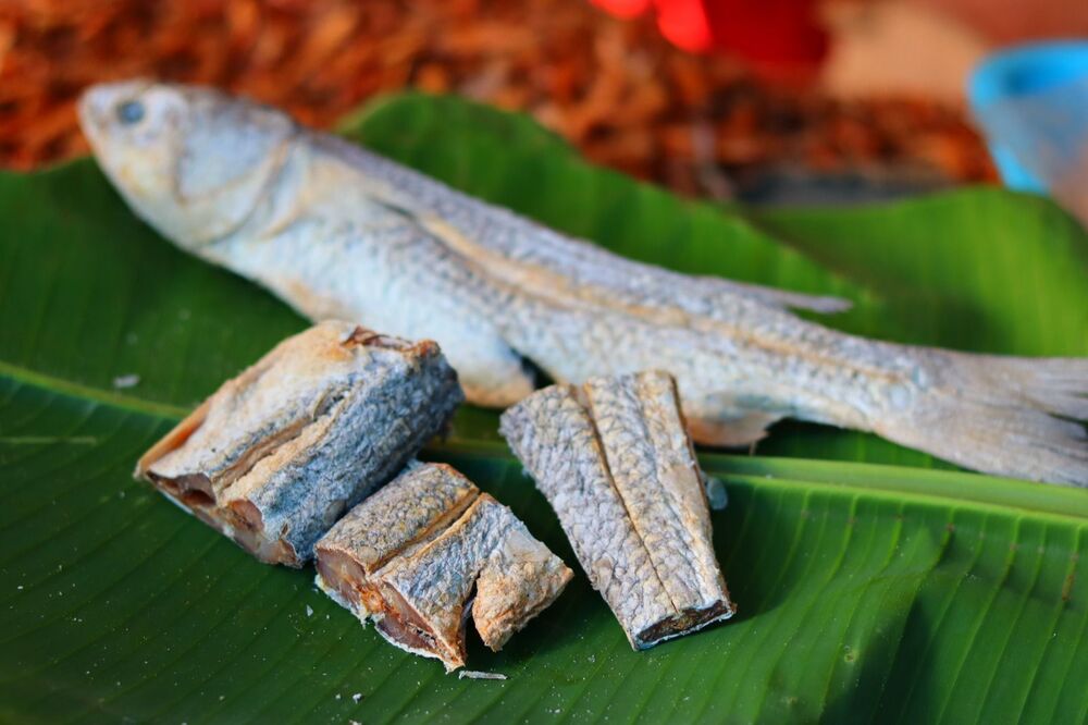Dry Mullet Fish
