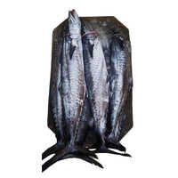 Tuna Fish - Grade: Food Grade