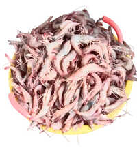 Raw Sea Prawns