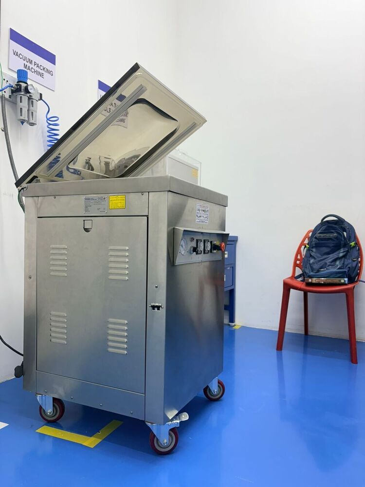 DZ 500 Vaccum Packing Machine