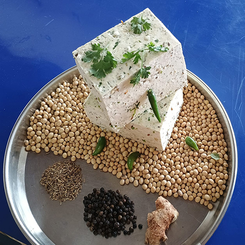 Masala Soya Paneer
