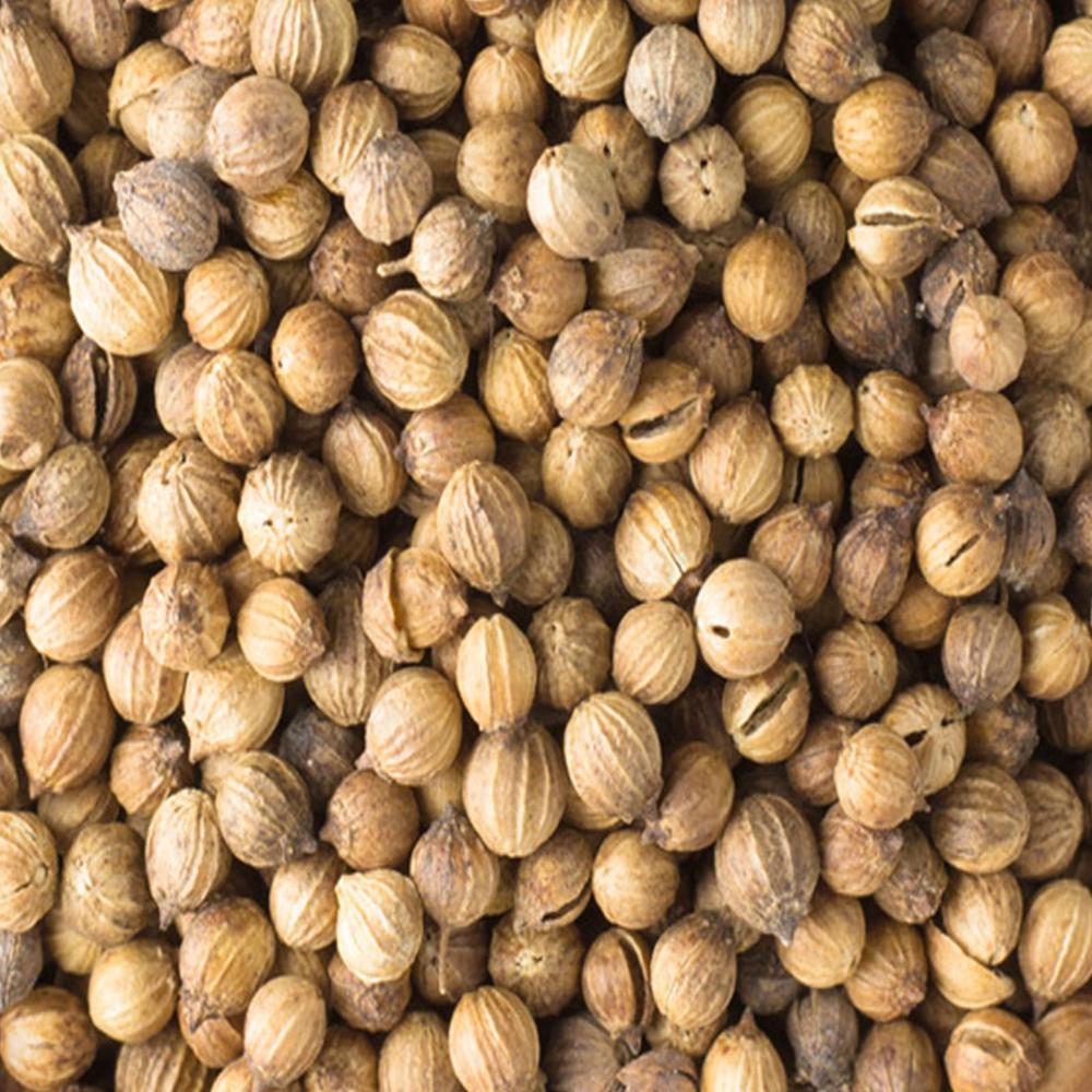 CORIANDER SEEDS