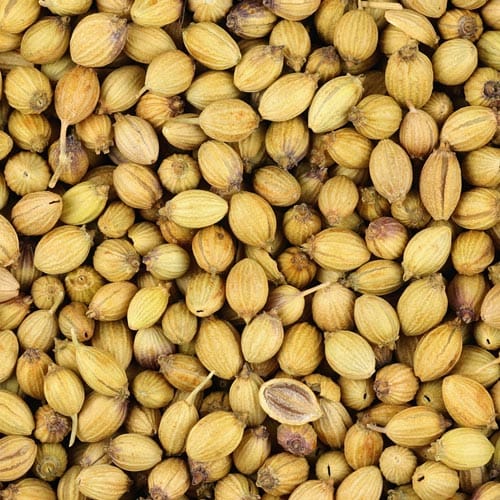 Coriander Seeds - Cultivation Type: Raw Pure