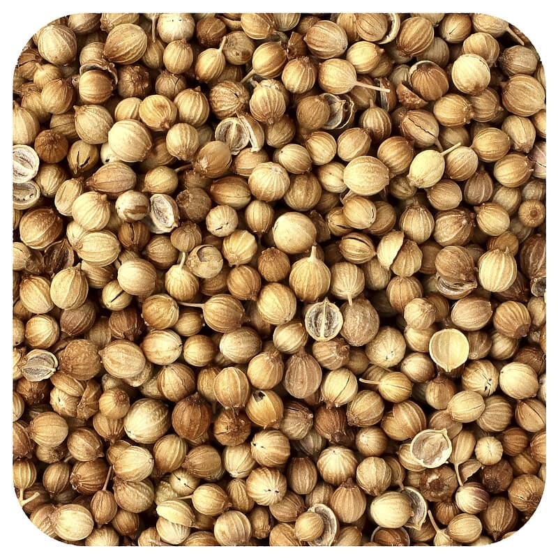Coriander Seeds - Cultivation Type: Raw Pure