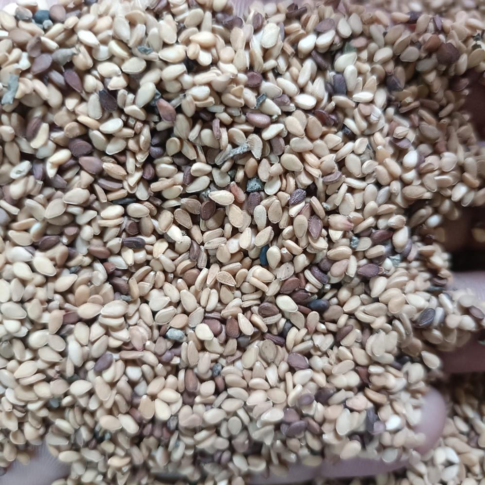 White Sesame Seeds. - Admixture (%): 0.05% Max