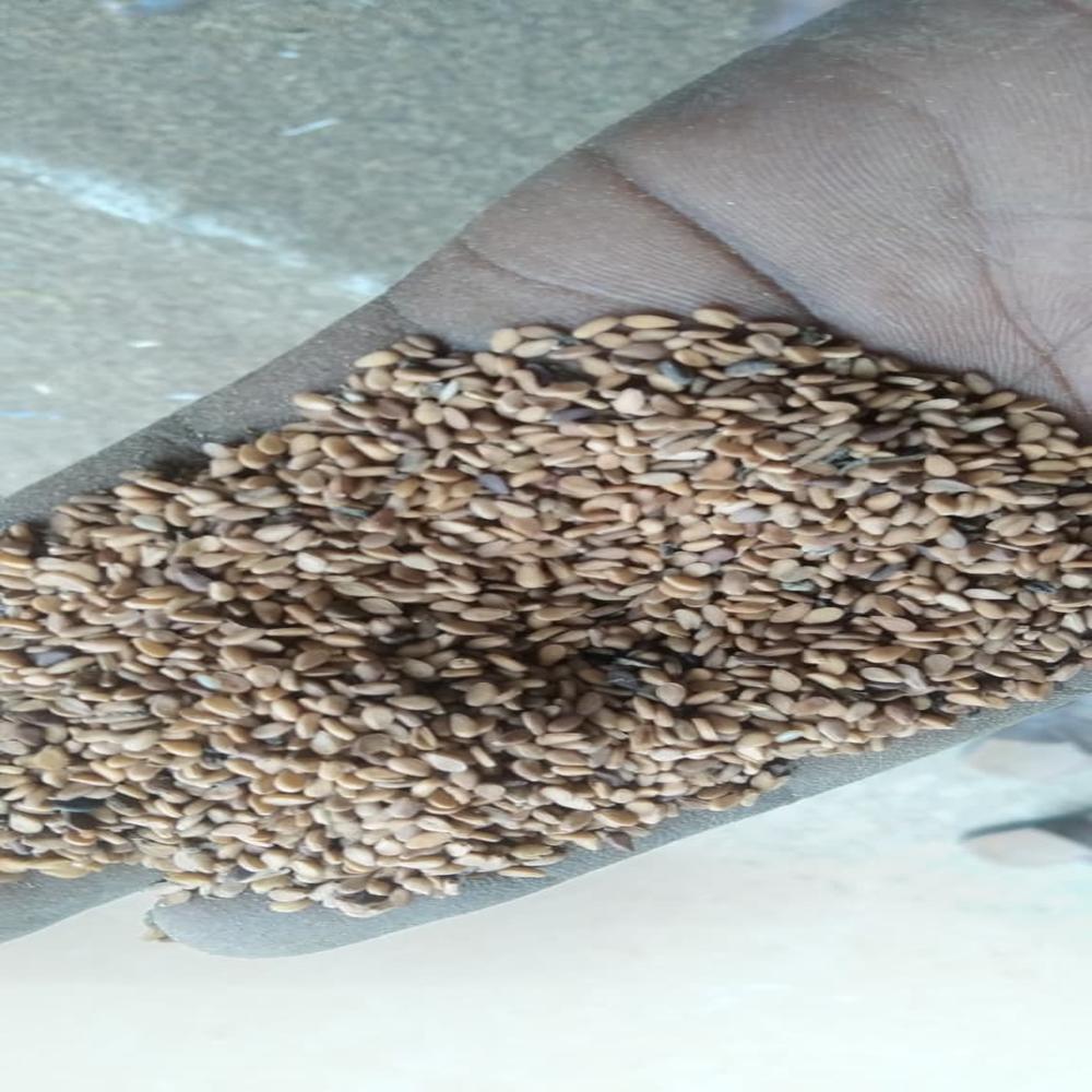 White Sesama Seeds - Moisture (%): 5%
