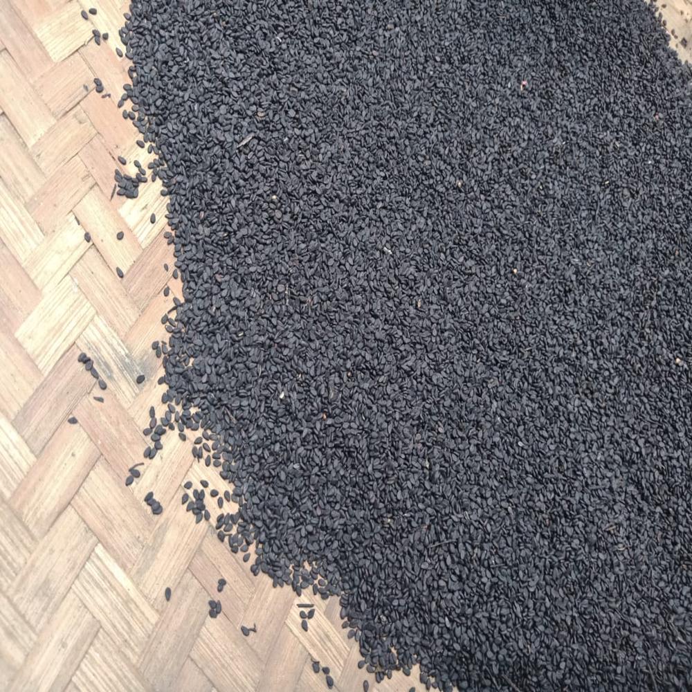 Organic Sesame Seed