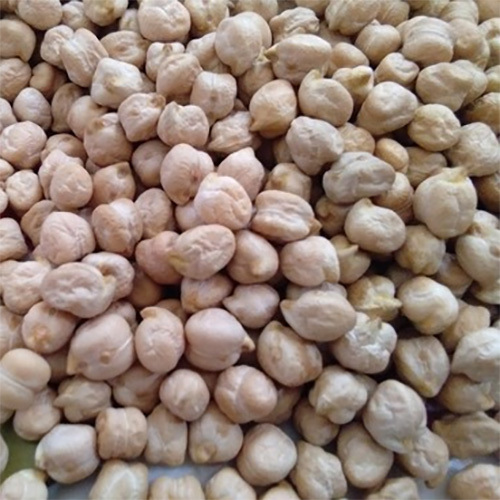 Kabuli Chana