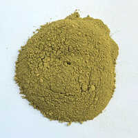 Oregano Powder