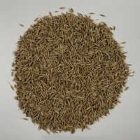 Cumin Seed Singapore 99%