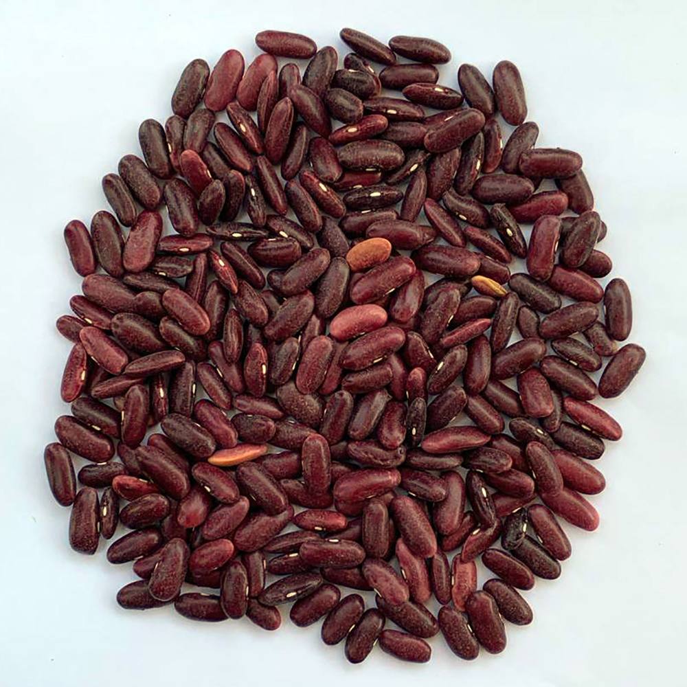Kidney Beans