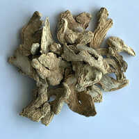 Dry Ginger