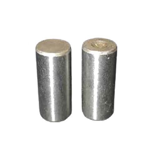 Gajan Pin
