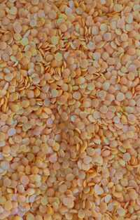 Bold Dall Water Polish