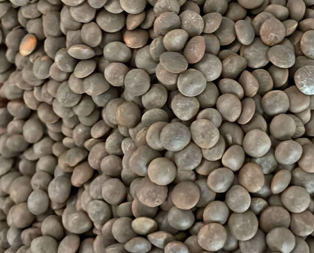 Masoor Polish Extra Bold - Admixture (%): 0.5% Max