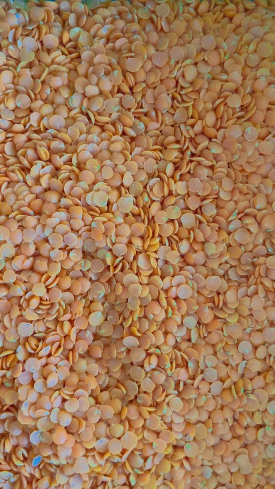 Extra Bold Dall Water Polish Extra Bold Dall Water Polish